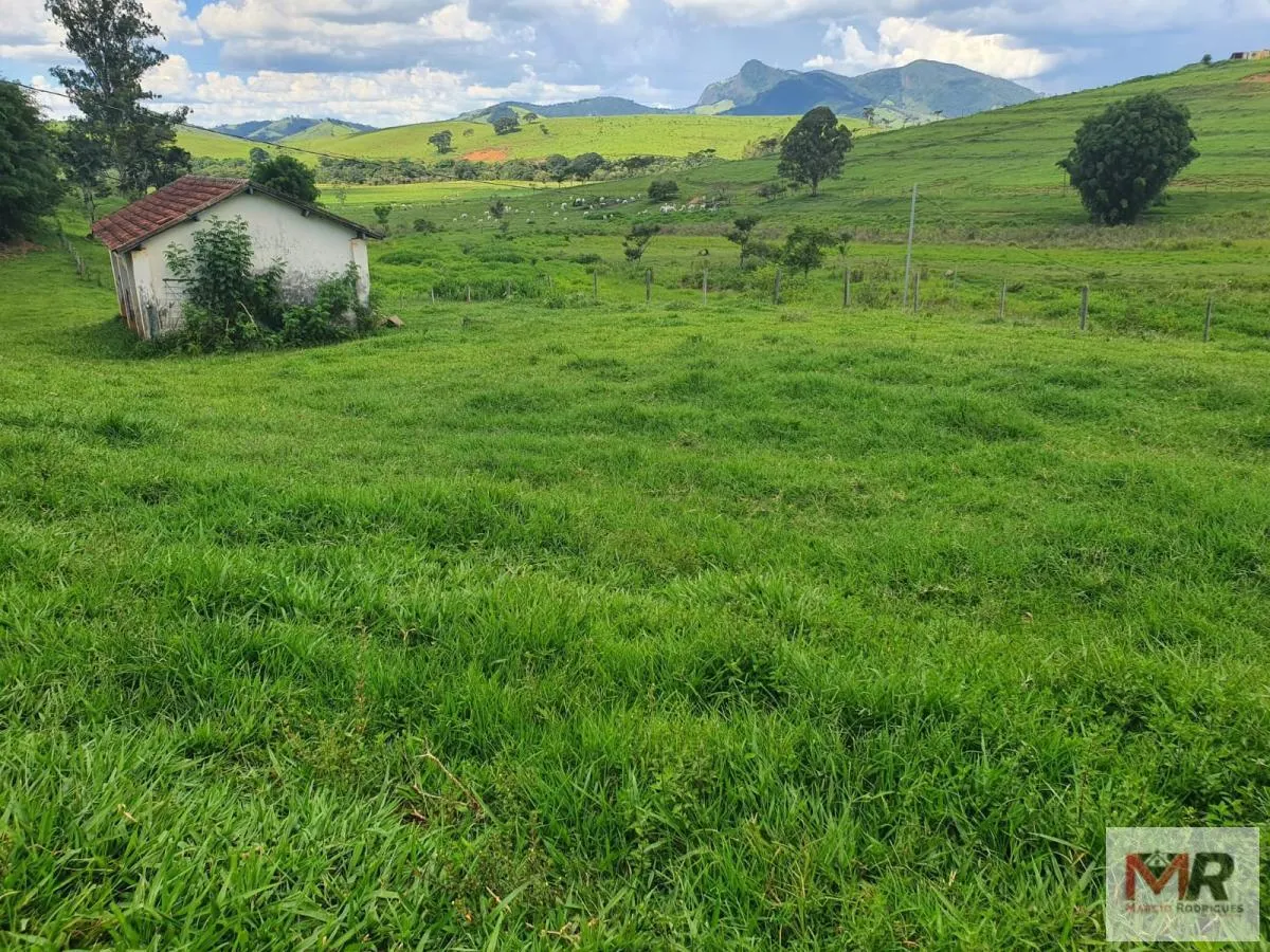 Fazenda à venda de 233 ha em Itajubá, MG, Brasil