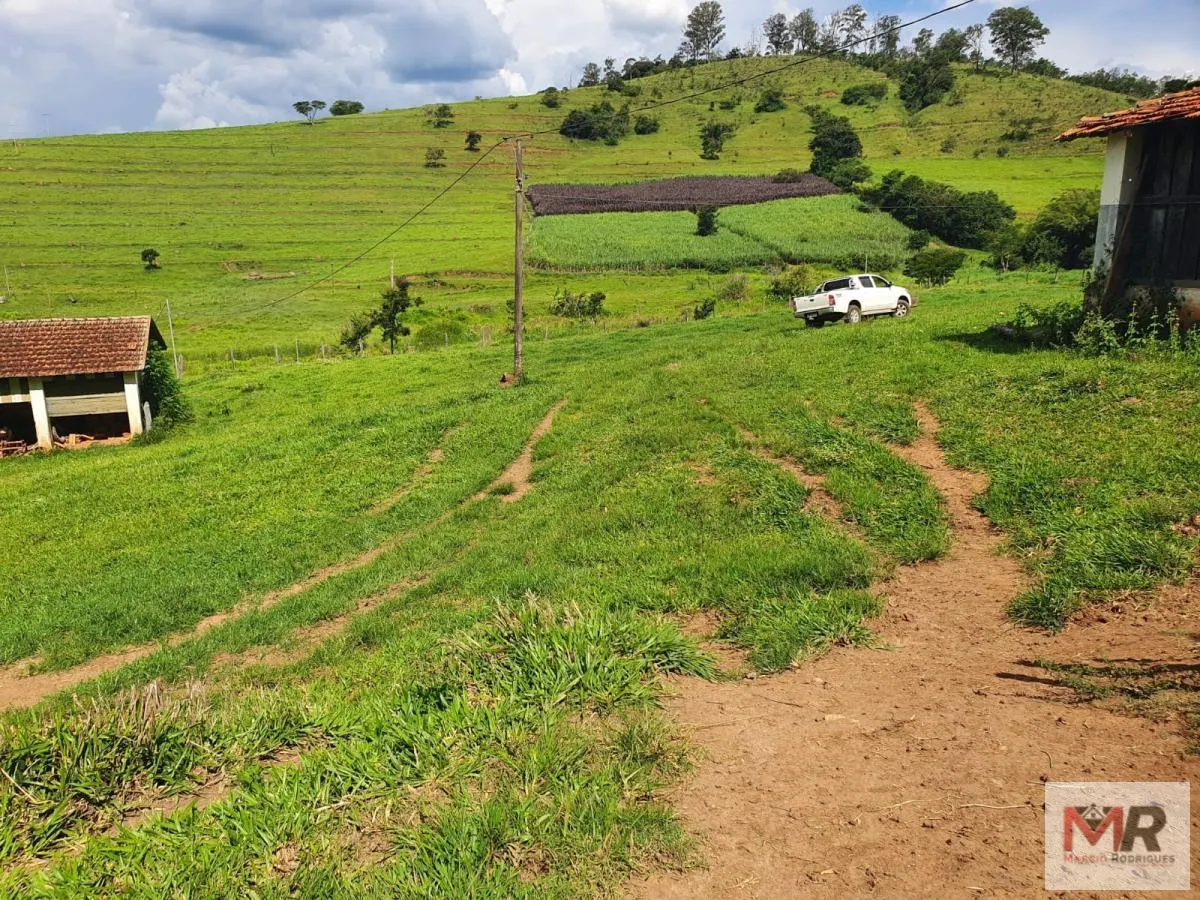 Fazenda à venda de 233 ha em Itajubá, MG, Brasil