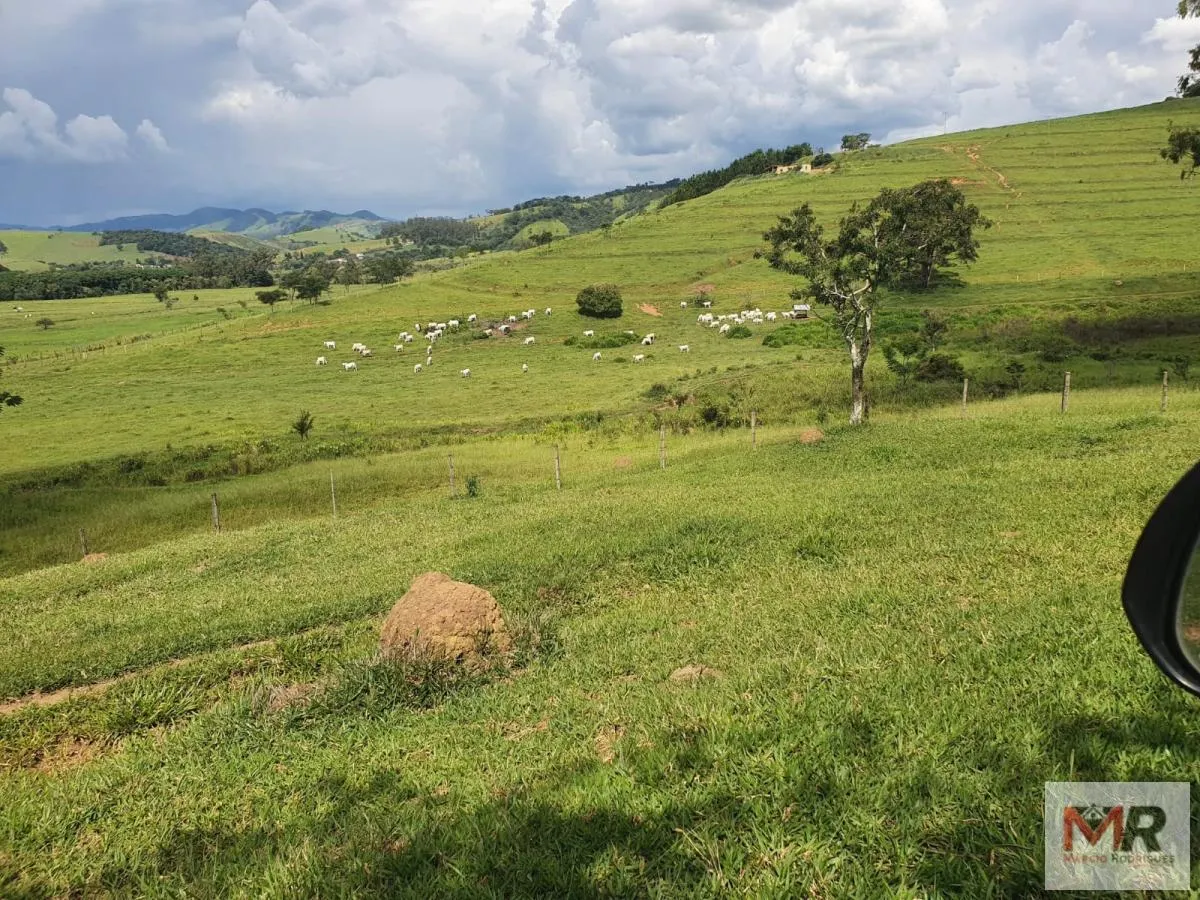 Fazenda à venda de 233 ha em Itajubá, MG, Brasil