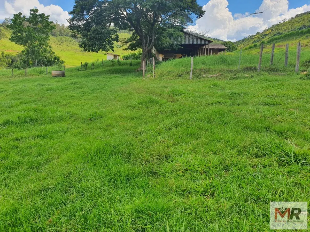 Fazenda à venda de 233 ha em Itajubá, MG, Brasil