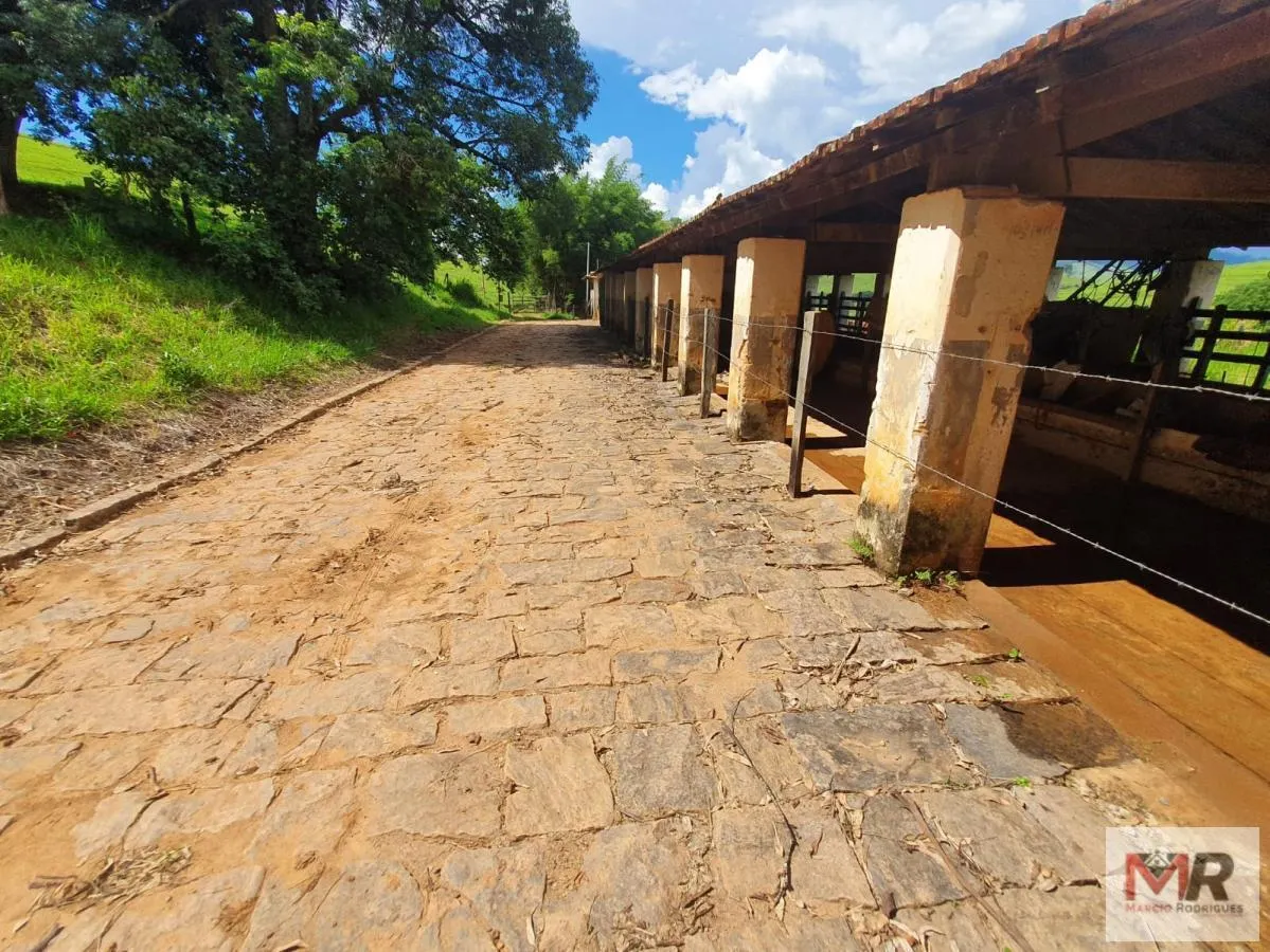 Fazenda à venda de 233 ha em Itajubá, MG, Brasil