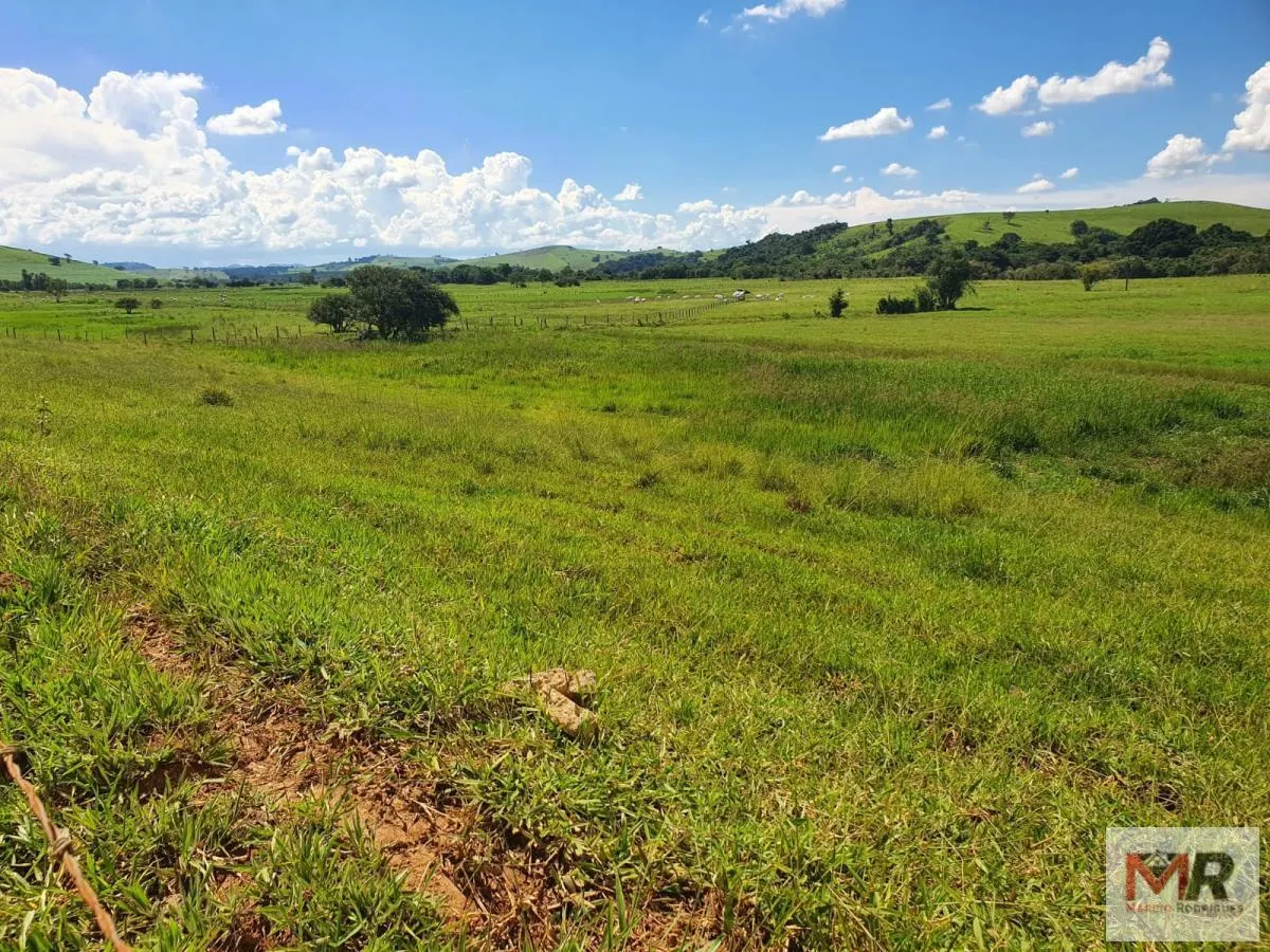 Fazenda à venda de 233 ha em Itajubá, MG, Brasil