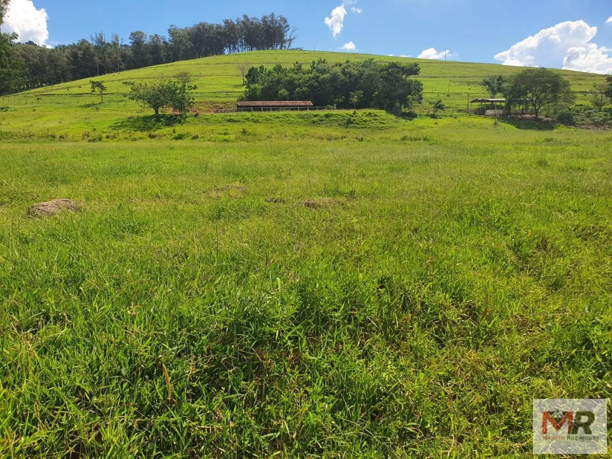 Fazenda à venda de 233 ha em Itajubá, MG, Brasil