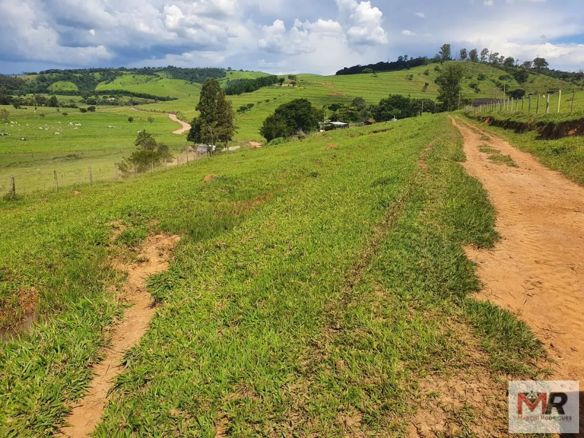 Fazenda à venda de 233 ha em Itajubá, MG, Brasil