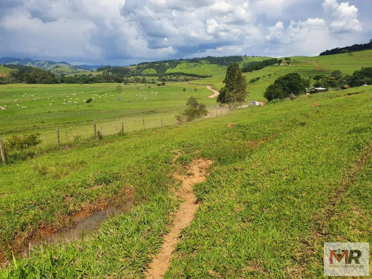 Fazenda à venda de 233 ha em Itajubá, MG, Brasil