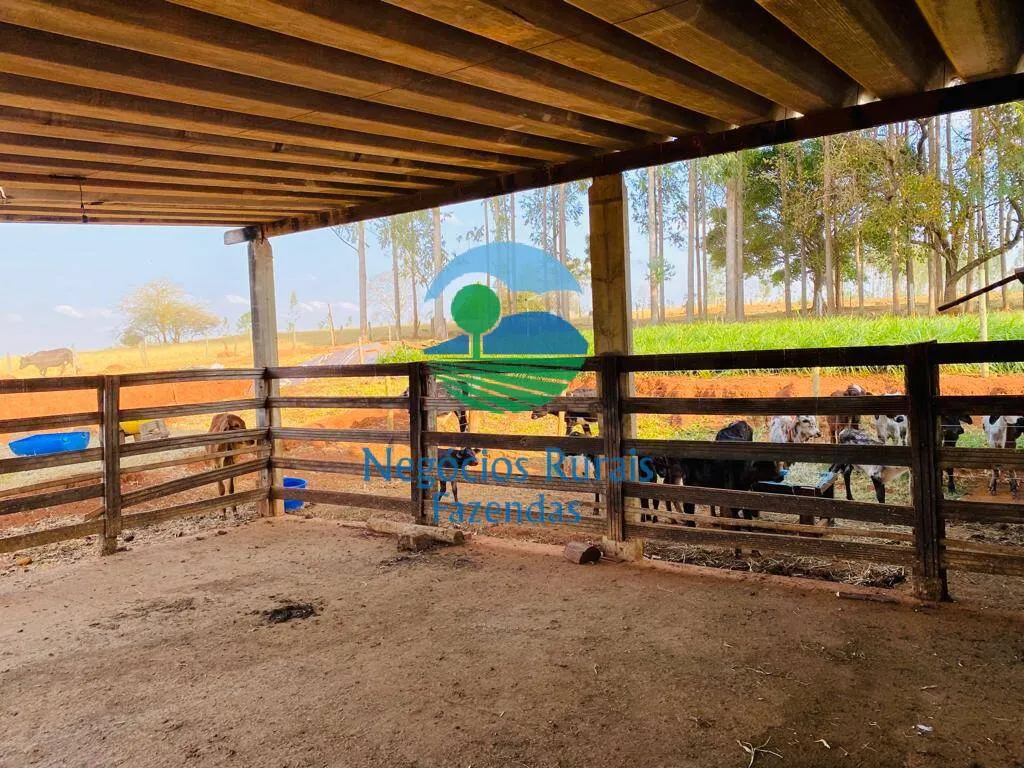 Chácara à venda de 5 ha em Bonópolis, GO, Brasil