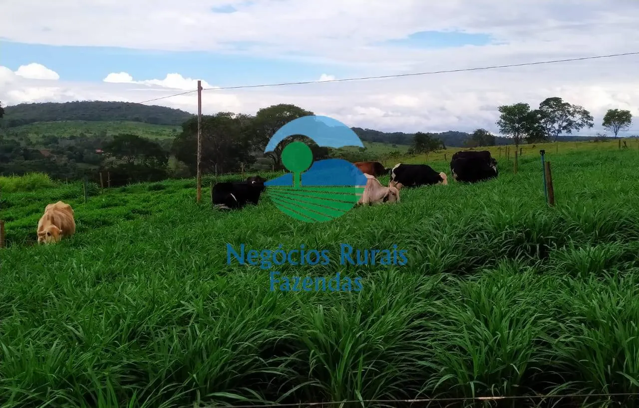 Country home for sale of 12 acres in Bonópolis, GO, Brazil