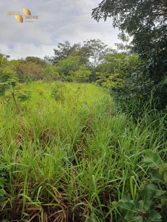 Fazenda à venda de 1.128 ha em Nossa Senhora do Livramento, MT, Brasil
