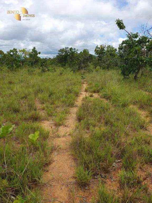 Fazenda à venda de 1.128 ha em Nossa Senhora do Livramento, MT, Brasil