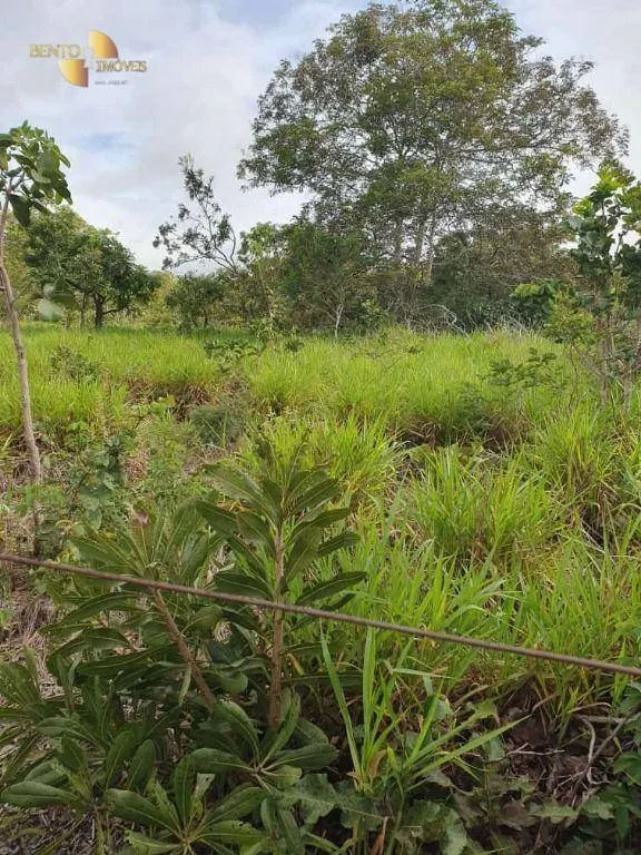 Fazenda à venda de 1.128 ha em Nossa Senhora do Livramento, MT, Brasil