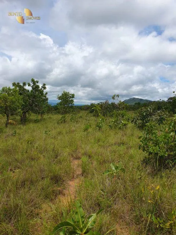 Fazenda à venda de 1.128 ha em Nossa Senhora do Livramento, MT, Brasil
