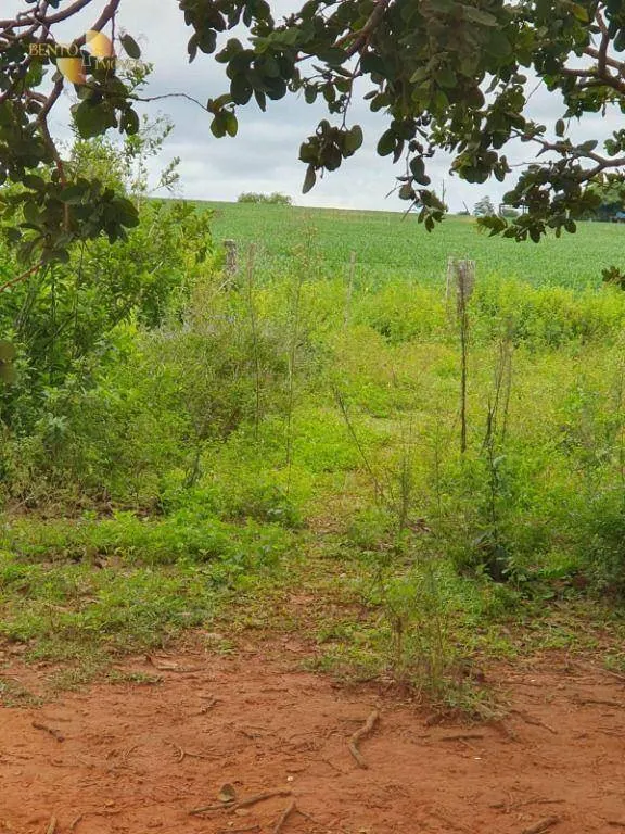 Fazenda à venda de 1.128 ha em Nossa Senhora do Livramento, MT, Brasil