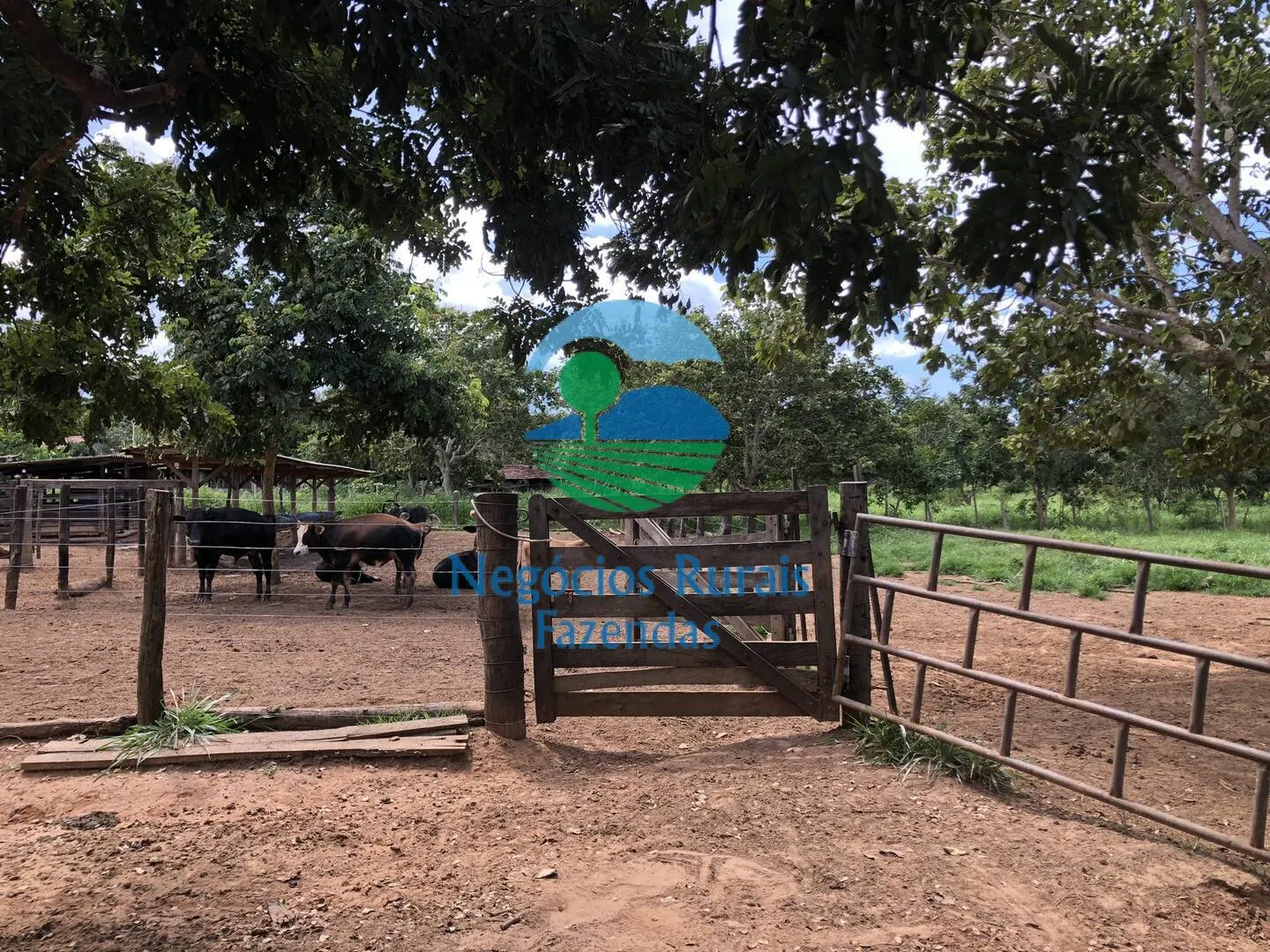 Small farm for sale of 10 acres in Uruaçu, GO, Brazil