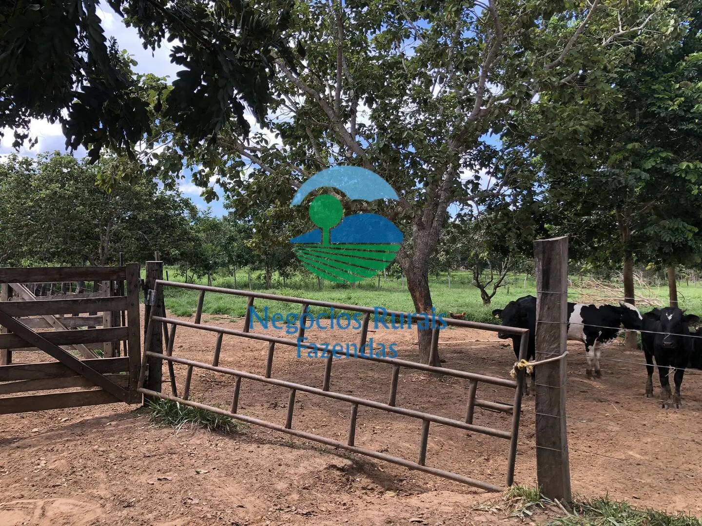 Small farm for sale of 10 acres in Uruaçu, GO, Brazil