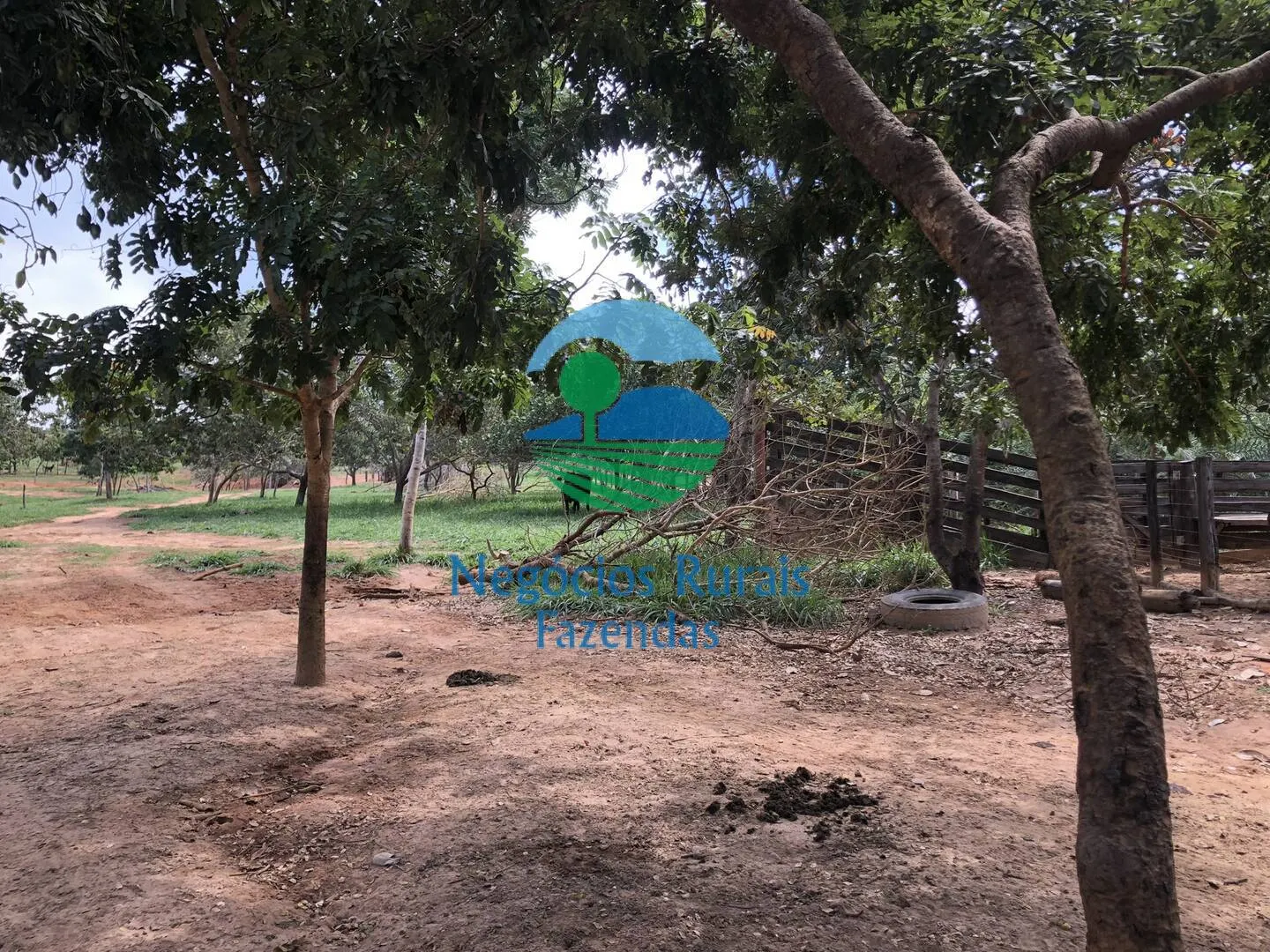 Small farm for sale of 10 acres in Uruaçu, GO, Brazil
