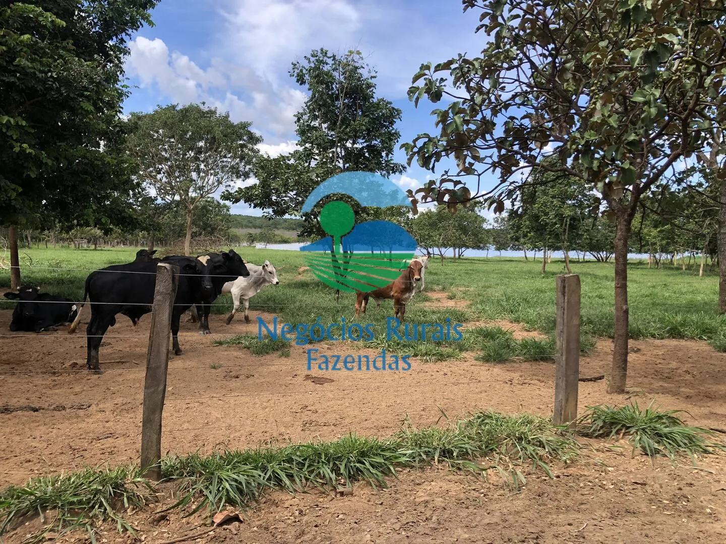 Small farm for sale of 10 acres in Uruaçu, GO, Brazil