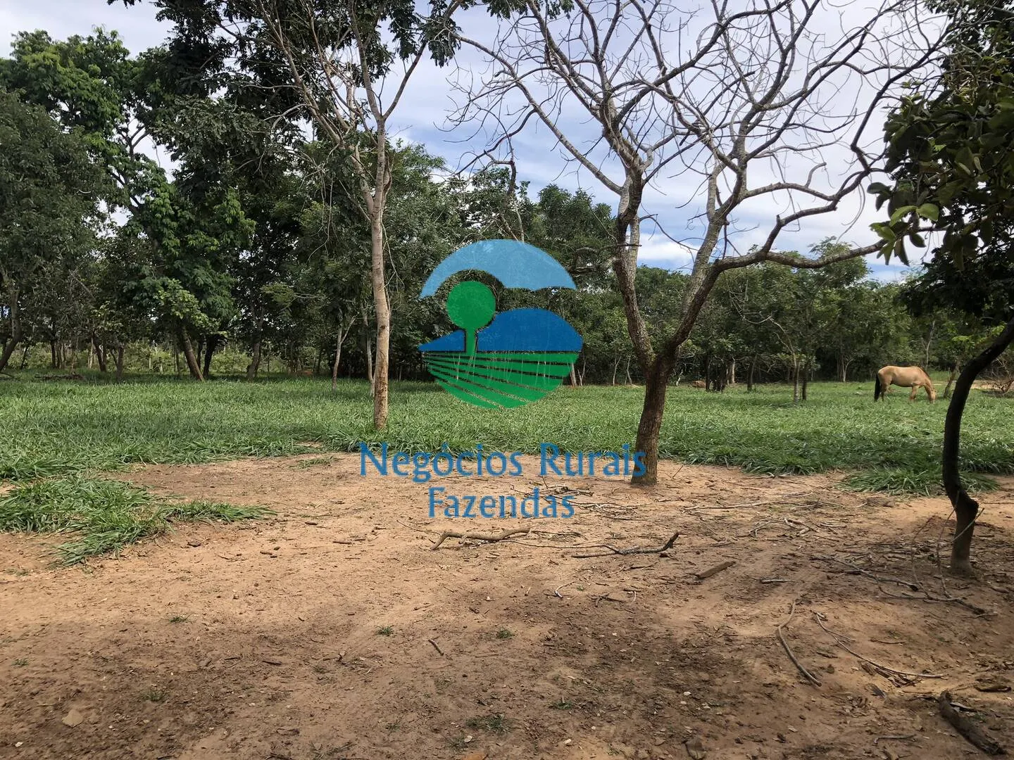 Small farm for sale of 10 acres in Uruaçu, GO, Brazil