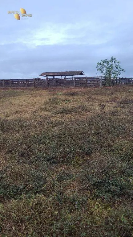 Fazenda à venda de 3.855 ha em Jangada, MT, Brasil