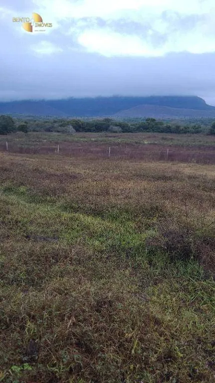 Fazenda à venda de 3.855 ha em Jangada, MT, Brasil