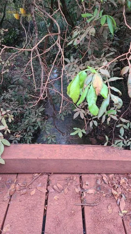 Fazenda à venda de 3.855 ha em Jangada, MT, Brasil
