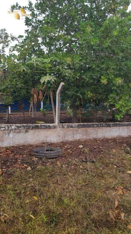 Fazenda à venda de 3.855 ha em Jangada, MT, Brasil