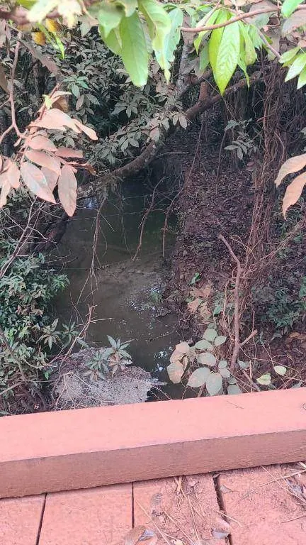 Fazenda à venda de 3.855 ha em Jangada, MT, Brasil