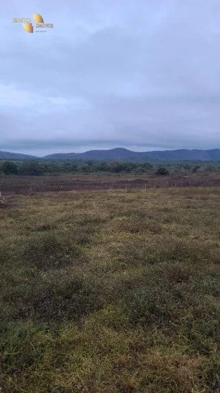Fazenda à venda de 3.855 ha em Jangada, MT, Brasil