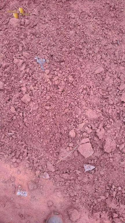 Fazenda à venda de 3.855 ha em Jangada, MT, Brasil