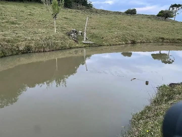 Sítio à venda e para Arrendar de 28 ha em Glorinha, RS, Brasil