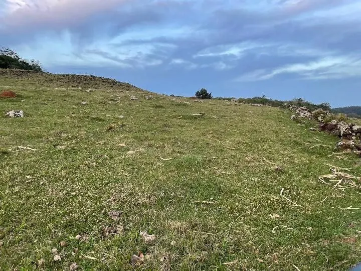 Sítio à venda e para Arrendar de 28 ha em Glorinha, RS, Brasil