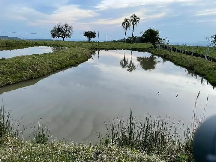Sítio à venda e para Arrendar de 28 ha em Glorinha, RS, Brasil