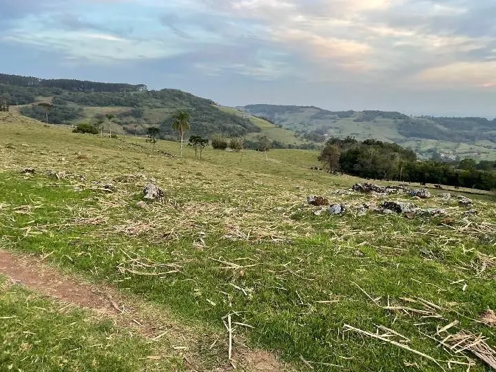 Sítio à venda e para Arrendar de 28 ha em Glorinha, RS, Brasil