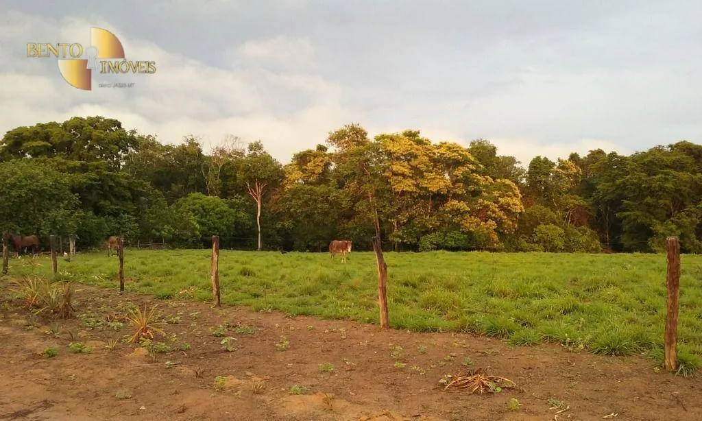 Fazenda à venda de 4.837 ha em Gaúcha do Norte, MT, Brasil