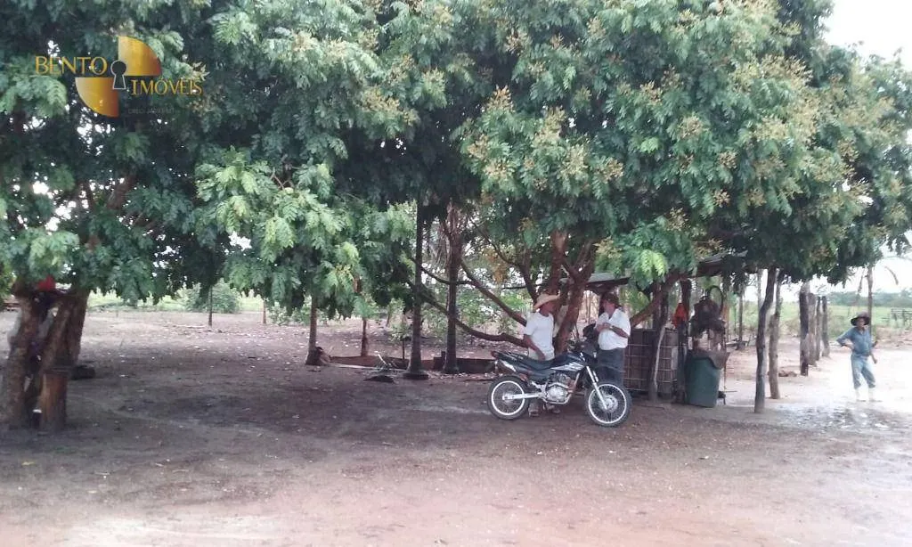 Fazenda à venda de 4.837 ha em Gaúcha do Norte, MT, Brasil
