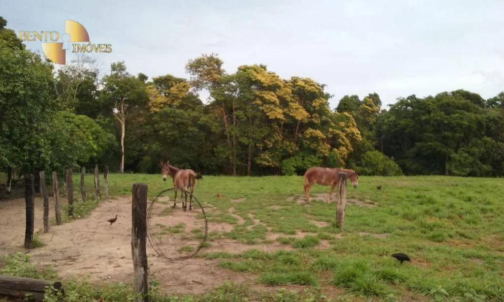 Fazenda à venda de 4.837 ha em Gaúcha do Norte, MT, Brasil