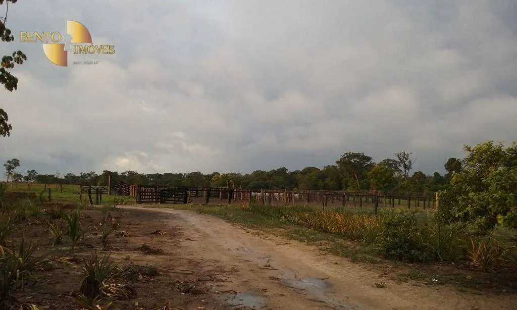 Fazenda à venda de 4.837 ha em Gaúcha do Norte, MT, Brasil