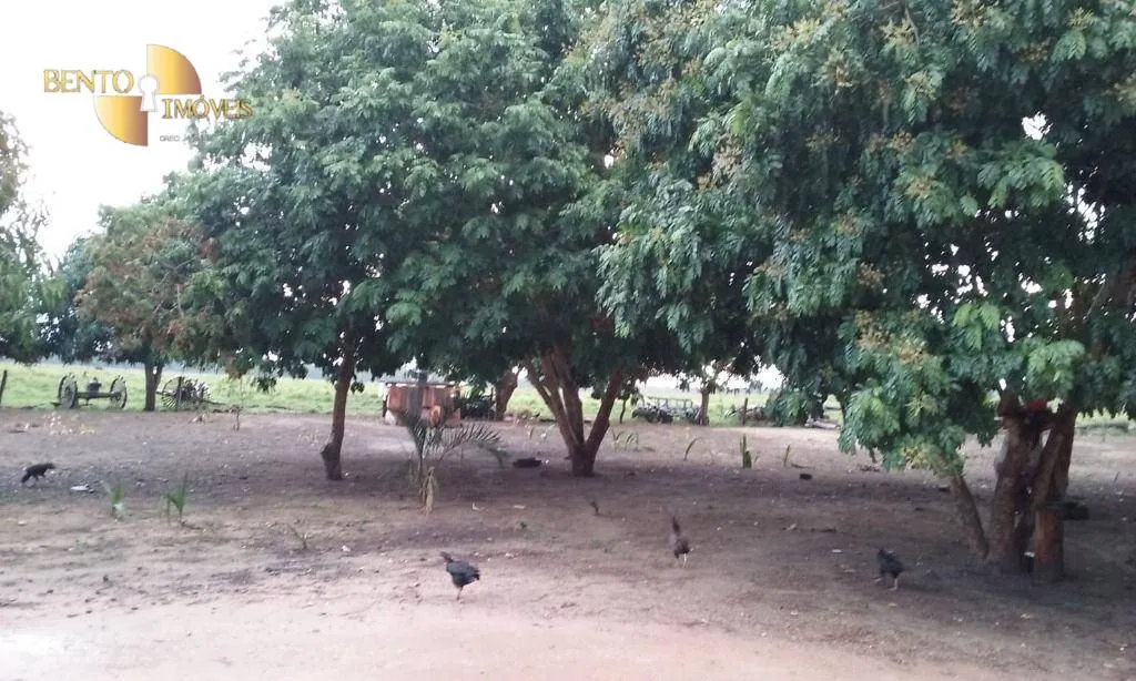 Fazenda à venda de 4.837 ha em Gaúcha do Norte, MT, Brasil