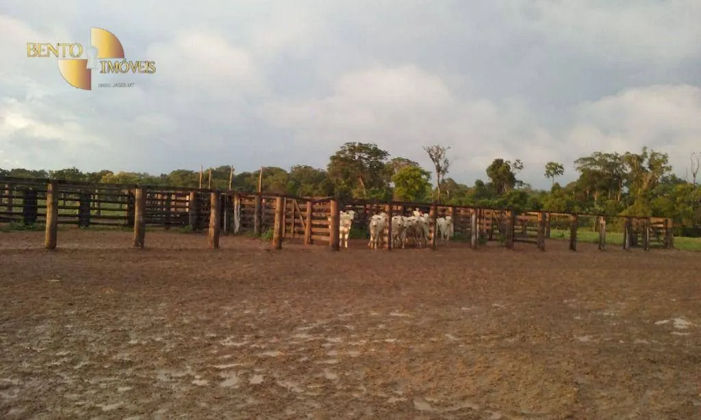 Fazenda à venda de 4.837 ha em Gaúcha do Norte, MT, Brasil