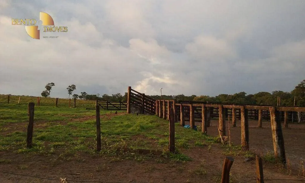 Fazenda à venda de 4.837 ha em Gaúcha do Norte, MT, Brasil
