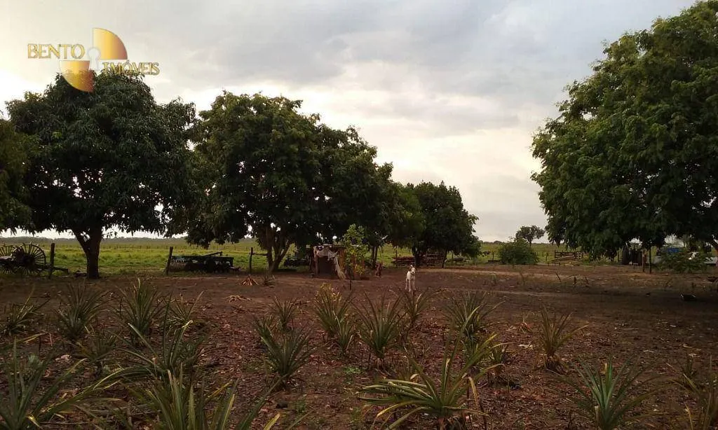 Fazenda à venda de 4.837 ha em Gaúcha do Norte, MT, Brasil