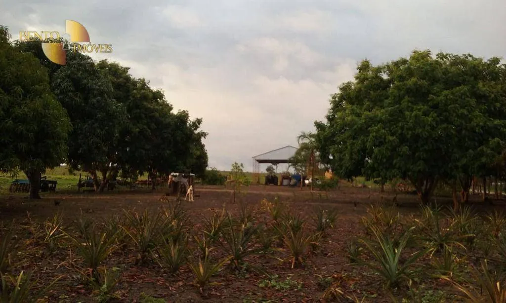 Fazenda à venda de 4.837 ha em Gaúcha do Norte, MT, Brasil