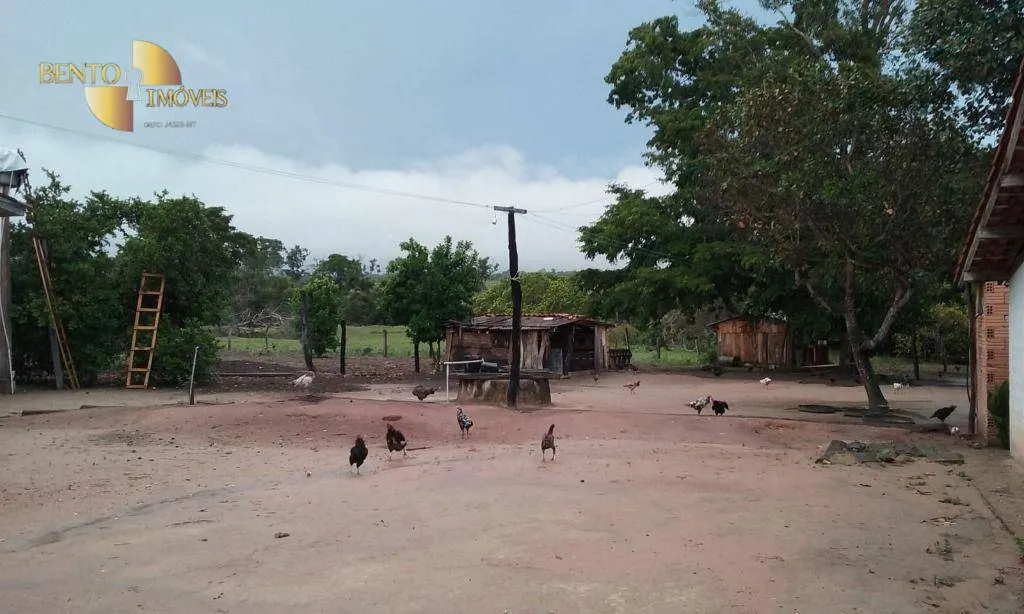 Fazenda à venda de 4.837 ha em Gaúcha do Norte, MT, Brasil