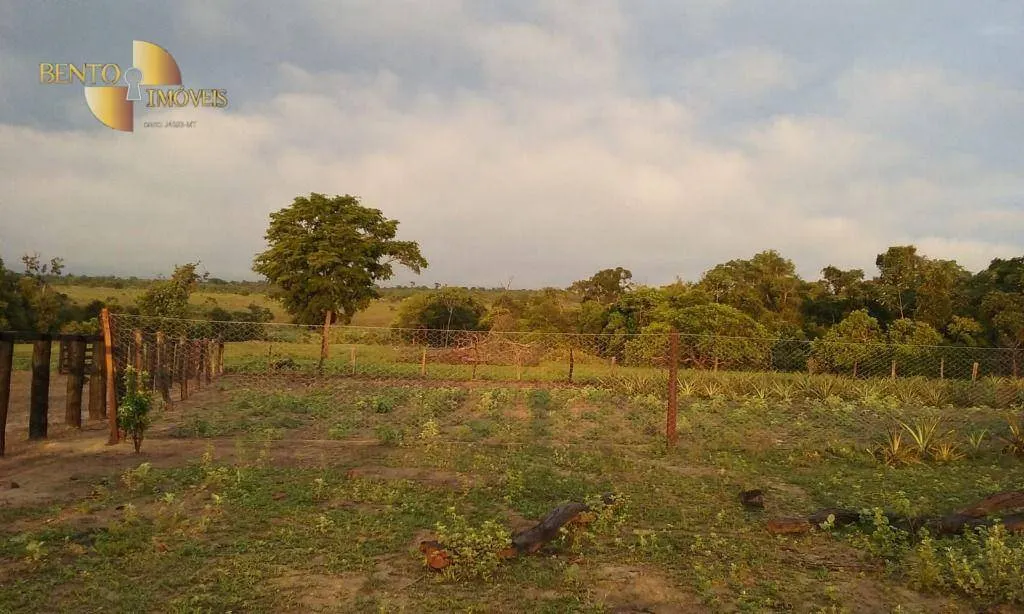 Fazenda à venda de 4.837 ha em Gaúcha do Norte, MT, Brasil