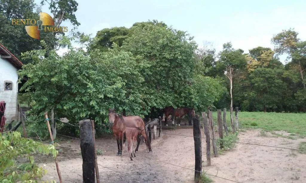 Fazenda à venda de 4.837 ha em Gaúcha do Norte, MT, Brasil