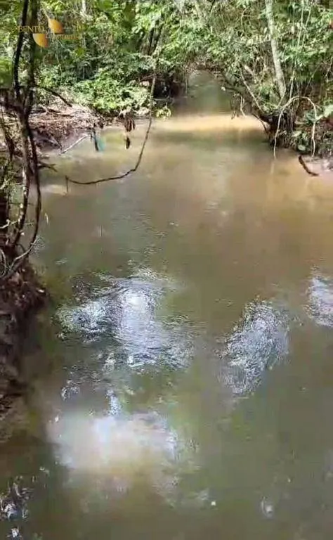 Fazenda à venda de 4.837 ha em Gaúcha do Norte, MT, Brasil
