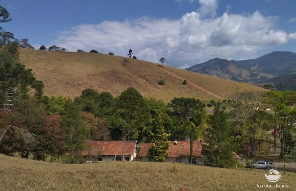 Small farm for sale of 52 acres in Sapucaí-Mirim, MG, Brazil
