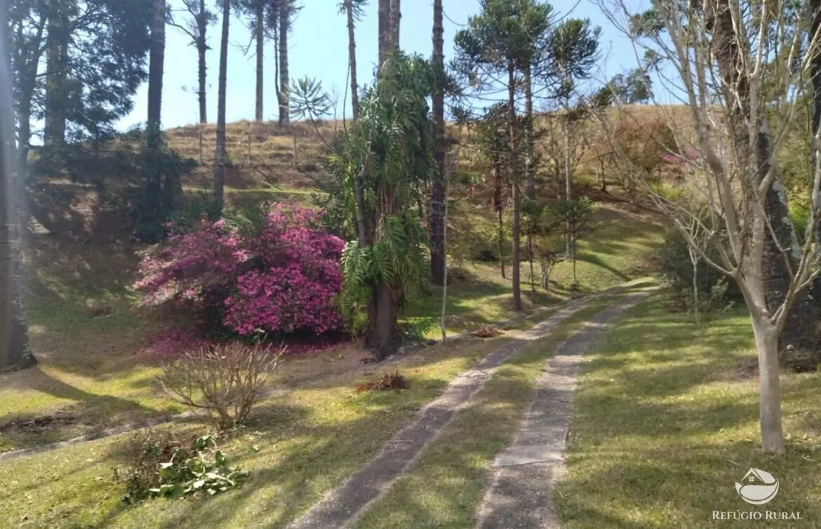 Small farm for sale of 52 acres in Sapucaí-Mirim, MG, Brazil