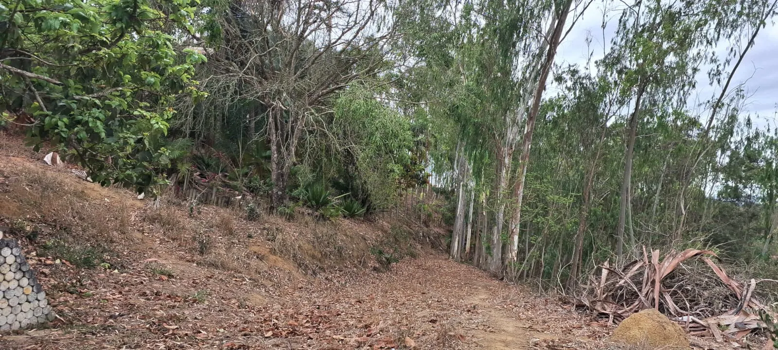 Terreno à venda de 2 ha em São José dos Campos, SP, Brasil