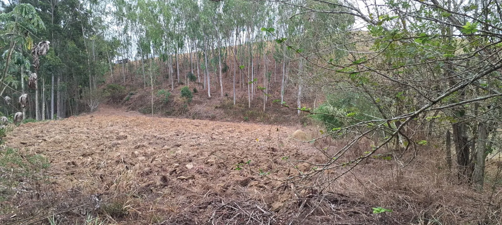 Terreno à venda de 2 ha em São José dos Campos, SP, Brasil