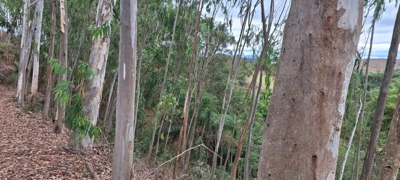 Terreno à venda de 2 ha em São José dos Campos, SP, Brasil